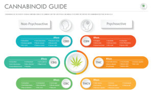 A graphic of the cannabinoid guide